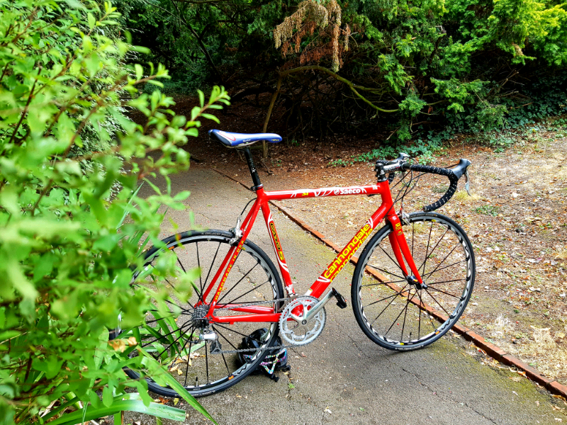 cannondale saeco caad5